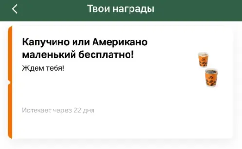 1678472809869.webp