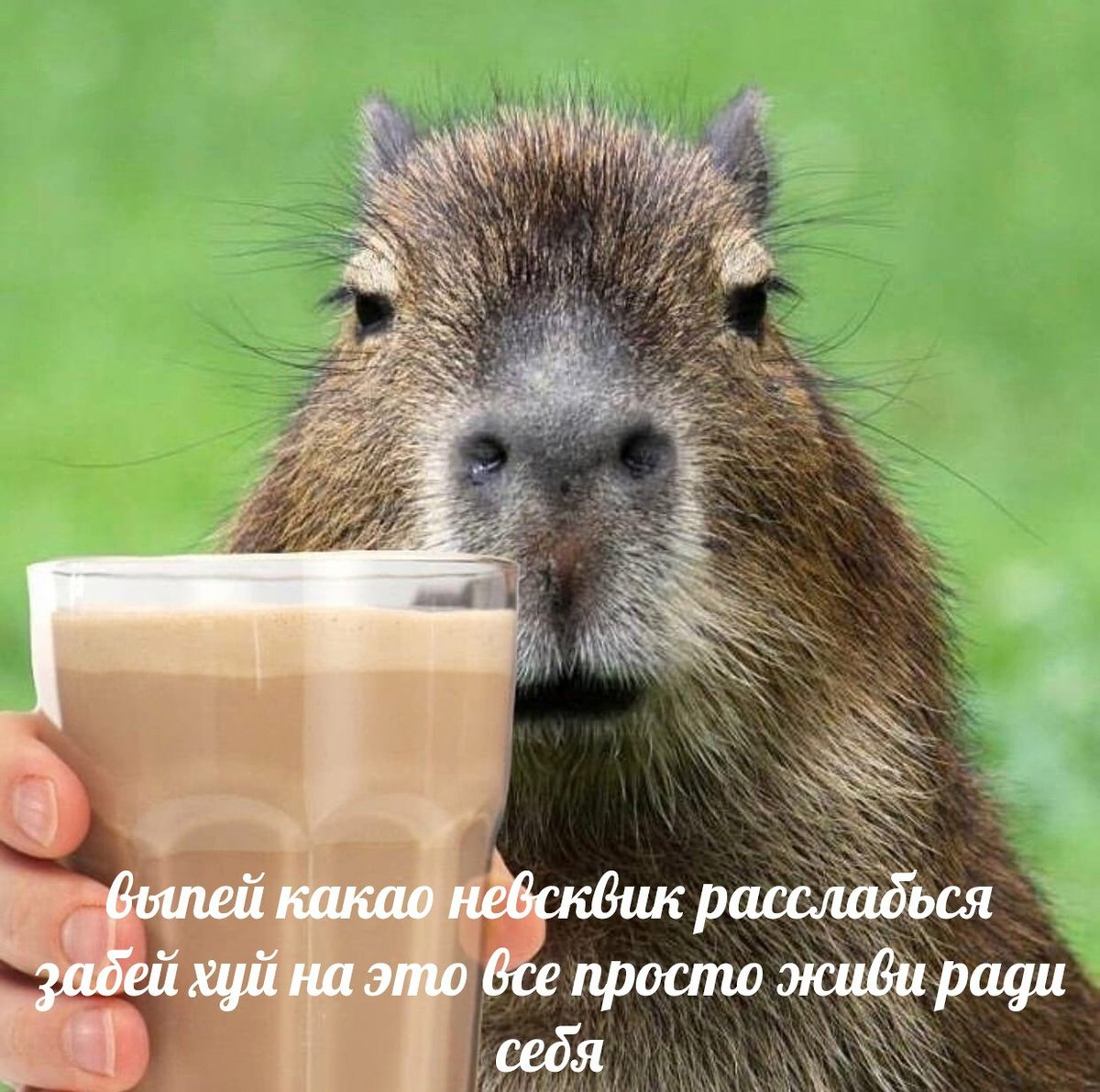 1678537726062.webp