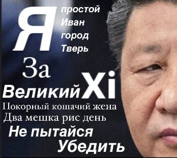 1678653298926.webp
