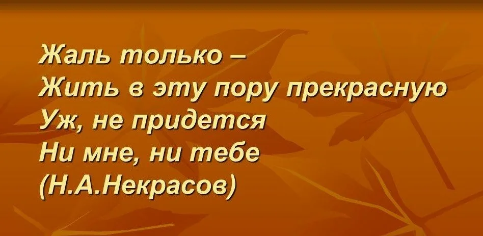 1678791637658.webp