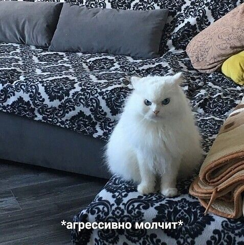 1678958248242.webp
