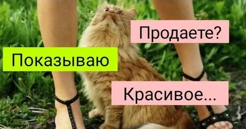 1679156420783.webp