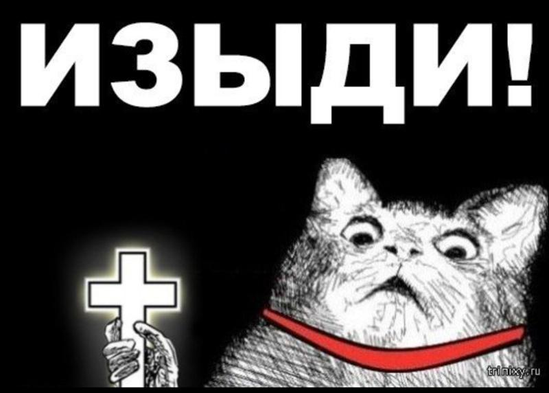 1679158789557.webp