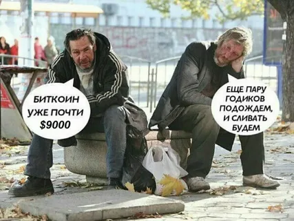 1679252482723.webp