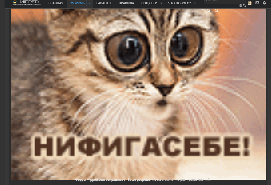1679403539269.webp