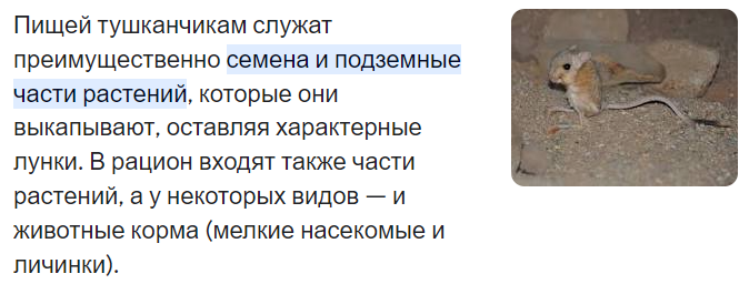 1679509012966.webp
