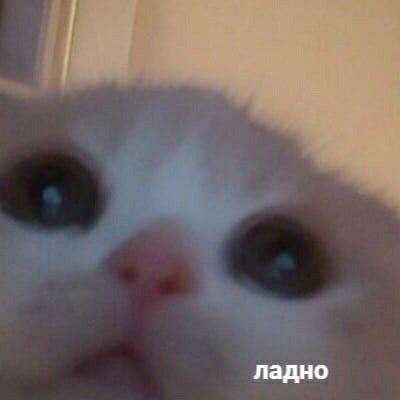 1679609788626.webp