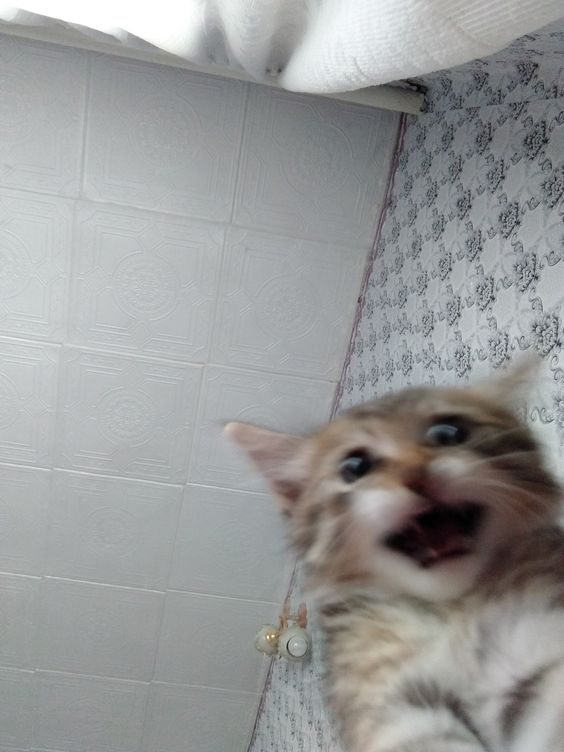 1679637076786.png