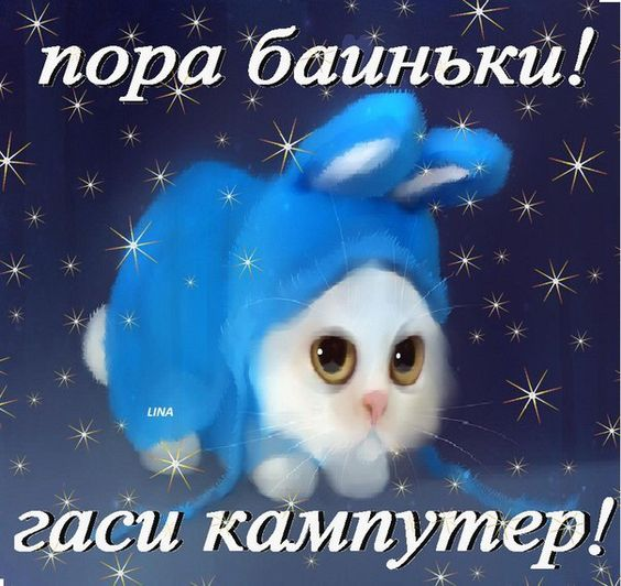 1679786433101.webp