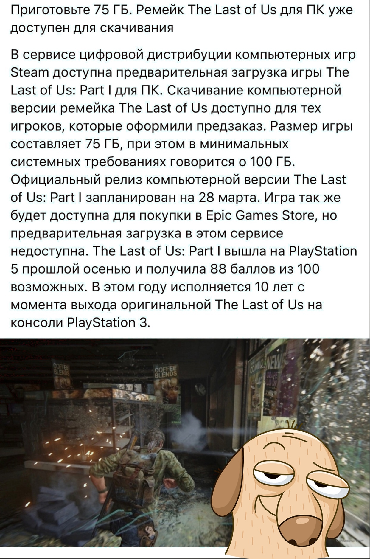 1679944310893.webp
