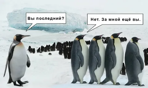 1680178653927.webp