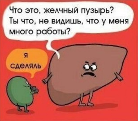 1680370973501.png