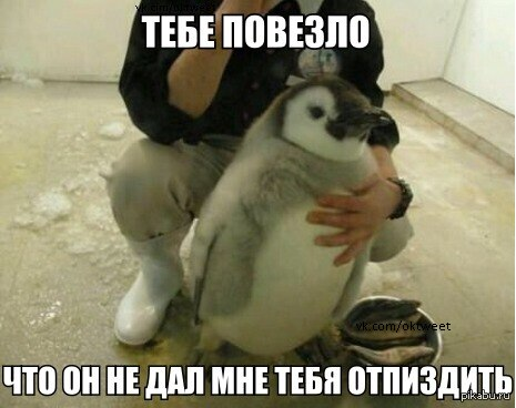1680462208570.png