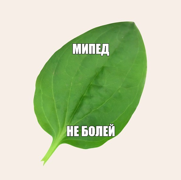 1680544008688.webp