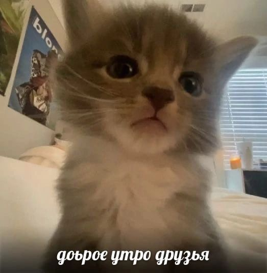 1680548000003.webp