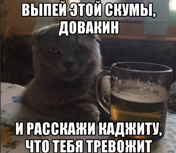 1680555021359.webp