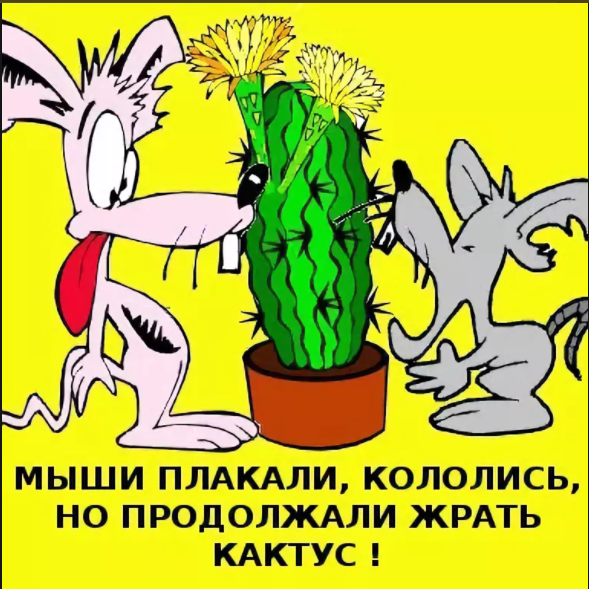 1680865088412.png