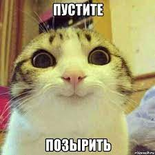 1681240298860.webp