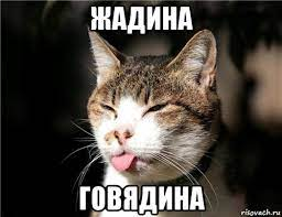 1681475479439.webp