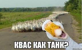 1681713247400.webp