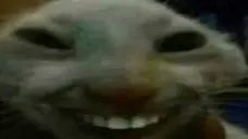 1681918753845.webp