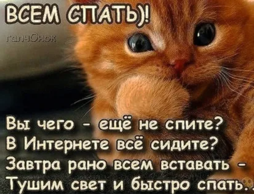 1682038583579.webp