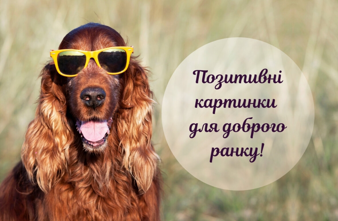 1682043058560.webp