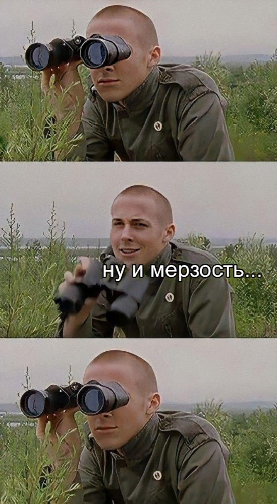 1682366137974.webp