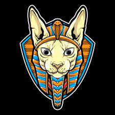 1682420487019.webp