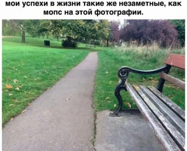 1682537244_6.webp