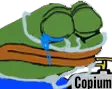 1683132788692.webp