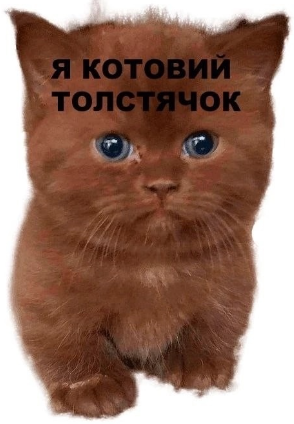 1683373193436.webp