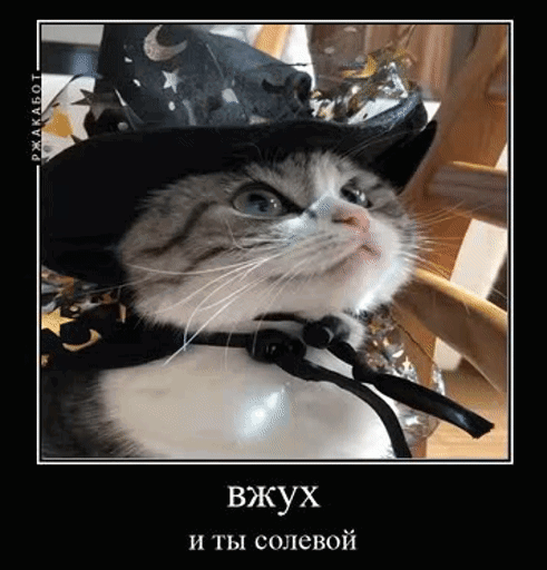 1683559303597.webp