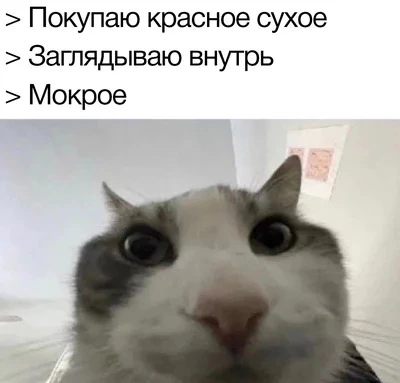168426240318771145.webp