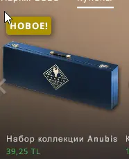 1684354870772.webp