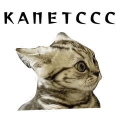 1684520027153.webp