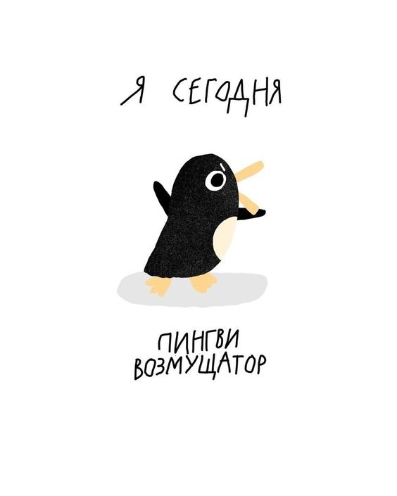 1684522102674.webp