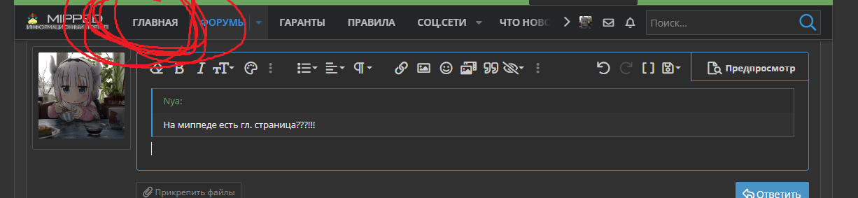 1684534163321.webp