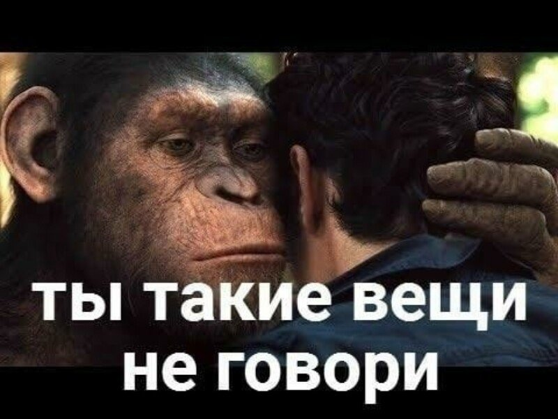 1685296641522.webp