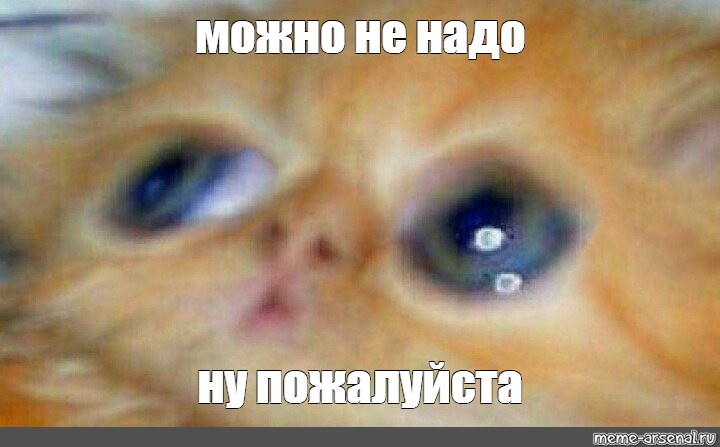1685547158569.webp