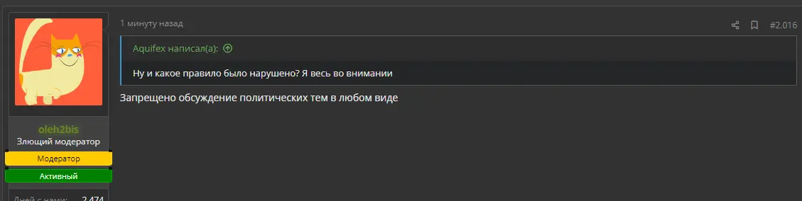 1685547824561.webp