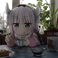1685555155383.webp