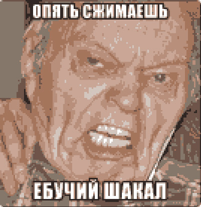 1685555561438.webp