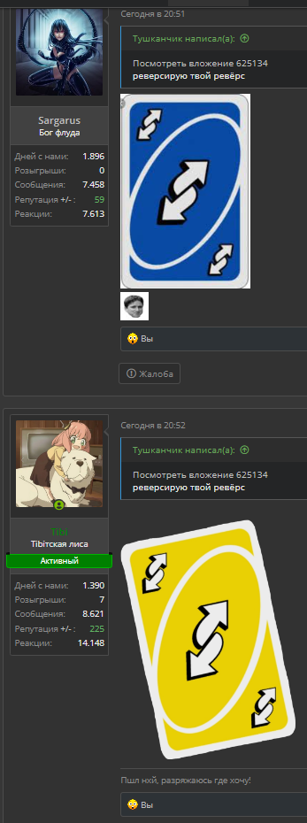 1685561281393.webp