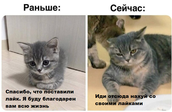 1685740638761.webp