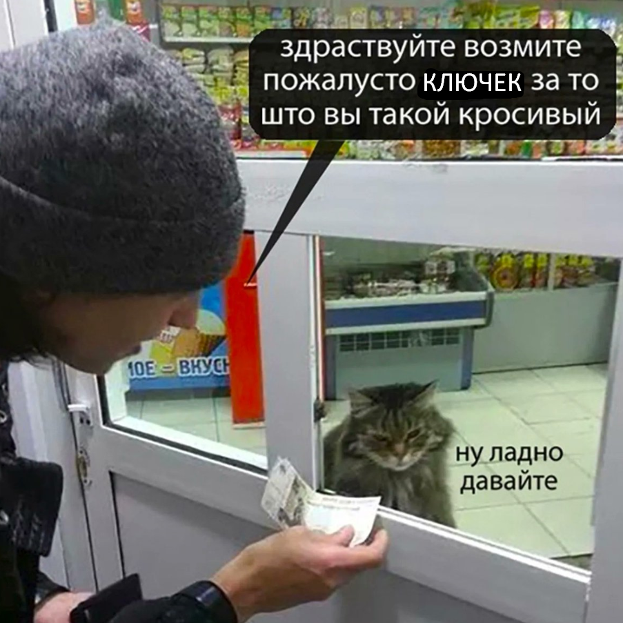 1686056886487.webp