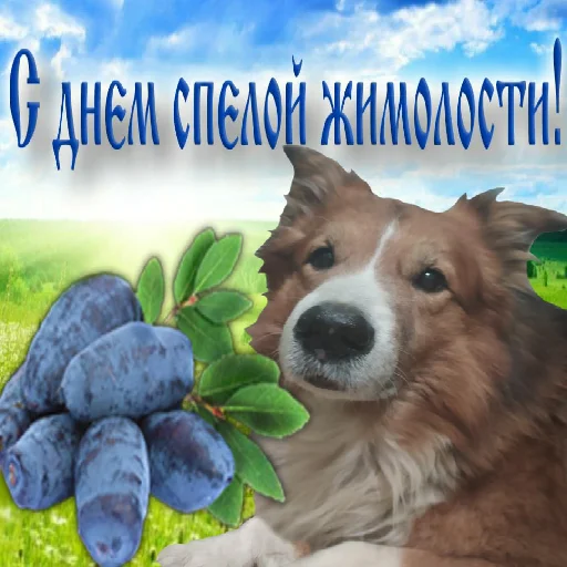 1686062678731.webp
