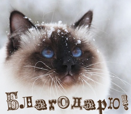 1686233949873.webp