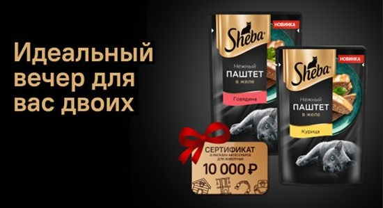 1686236534078.webp