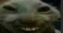 1686388626185.webp